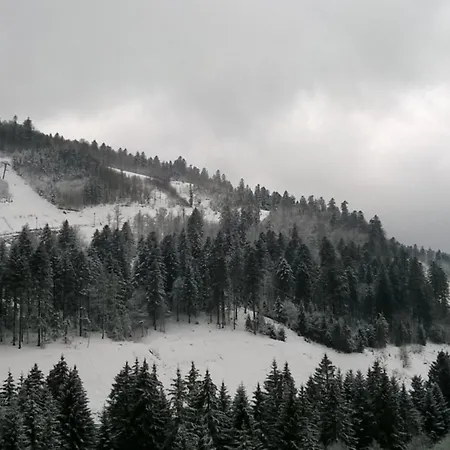 Le Chitelet 506, Pistes Hohneck